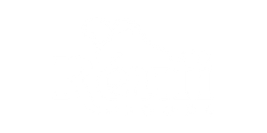 29387529.png