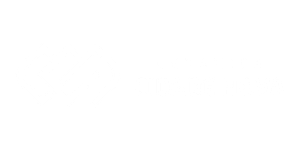 32485293.png
