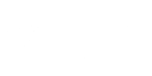 3295293.png.webp